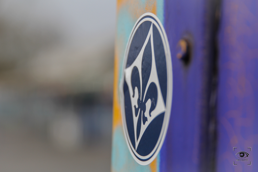 Lilien helfen Lilien